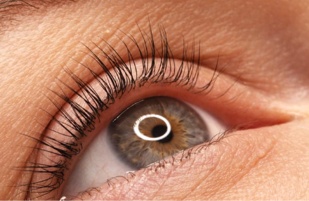 Donna con ciglie perfettamente modellate, lunghe e nutrite dopo la laminazione professionale eseguita nel nostro centro di Lugano